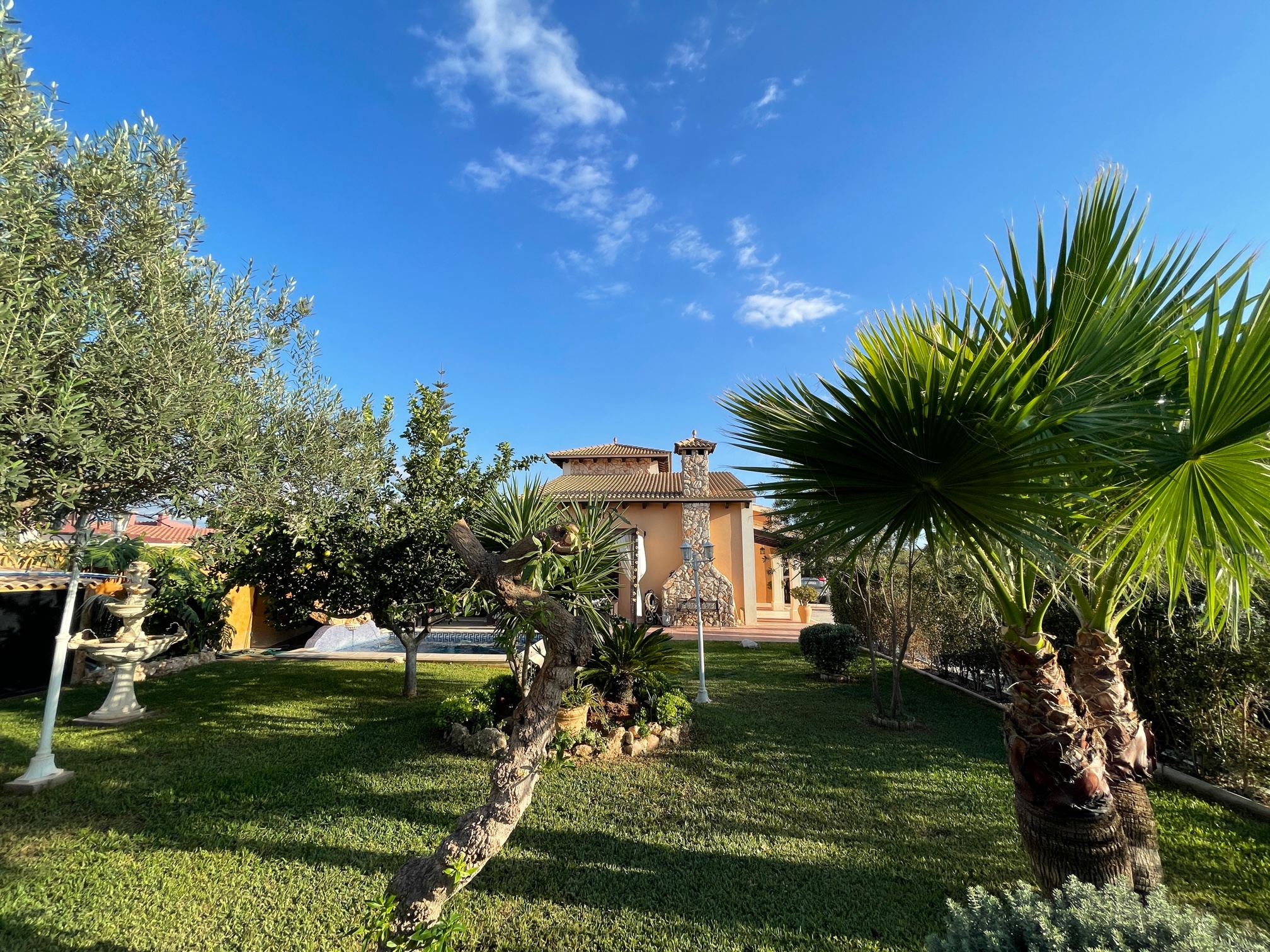 Jardín mediterráneo con palmeras y una casa al fondo